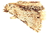  ( - BIOUG06657-A03)  @12 [ ] CreativeCommons - Attribution (2014) CBG Photography Group Centre for Biodiversity Genomics