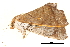  ( - BIOUG06657-D07)  @11 [ ] CreativeCommons - Attribution (2014) CBG Photography Group Centre for Biodiversity Genomics