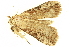  ( - BIOUG06667-B09)  @12 [ ] CreativeCommons - Attribution (2014) CBG Photography Group Centre for Biodiversity Genomics