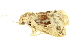  ( - BIOUG06667-B11)  @12 [ ] CreativeCommons - Attribution (2014) CBG Photography Group Centre for Biodiversity Genomics