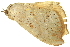  ( - BIOUG06667-D09)  @12 [ ] CreativeCommons - Attribution (2014) CBG Photography Group Centre for Biodiversity Genomics