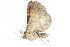  ( - BIOUG06676-A02)  @12 [ ] CreativeCommons - Attribution (2014) CBG Photography Group Centre for Biodiversity Genomics