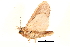  ( - BIOUG06676-E08)  @13 [ ] CreativeCommons - Attribution (2014) CBG Photography Group Centre for Biodiversity Genomics