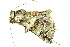  ( - BIOUG06676-E10)  @14 [ ] CreativeCommons - Attribution (2014) CBG Photography Group Centre for Biodiversity Genomics