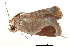  ( - BIOUG06676-H03)  @14 [ ] CreativeCommons - Attribution (2014) CBG Photography Group Centre for Biodiversity Genomics