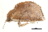  ( - BIOUG08651-G02)  @13 [ ] CreativeCommons - Attribution (2014) CBG Photography Group Centre for Biodiversity Genomics