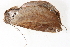  ( - BIOUG08651-G04)  @13 [ ] CreativeCommons - Attribution (2014) CBG Photography Group Centre for Biodiversity Genomics