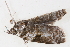  ( - BIOUG08651-H10)  @12 [ ] CreativeCommons - Attribution (2014) CBG Photography Group Centre for Biodiversity Genomics