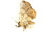  ( - BIOUG08681-C03)  @12 [ ] CreativeCommons - Attribution (2014) CBG Photography Group Centre for Biodiversity Genomics
