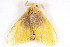  ( - BIOUG08681-D07)  @12 [ ] CreativeCommons - Attribution (2014) CBG Photography Group Centre for Biodiversity Genomics