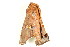  (Targallodes vittalba - BIOUG08681-E06)  @12 [ ] CreativeCommons - Attribution (2014) CBG Photography Group Centre for Biodiversity Genomics