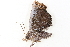  ( - BIOUG09047-G05)  @12 [ ] CreativeCommons - Attribution (2014) CBG Photography Group Centre for Biodiversity Genomics