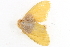  ( - BIOUG09047-G07)  @12 [ ] CreativeCommons - Attribution (2014) CBG Photography Group Centre for Biodiversity Genomics