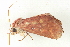  ( - BIOUG09048-A09)  @12 [ ] CreativeCommons - Attribution (2014) CBG Photography Group Centre for Biodiversity Genomics
