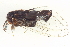  ( - BIOUG09048-B04)  @12 [ ] CreativeCommons - Attribution (2014) CBG Photography Group Centre for Biodiversity Genomics