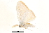  ( - BIOUG09048-B12)  @12 [ ] CreativeCommons - Attribution (2014) CBG Photography Group Centre for Biodiversity Genomics