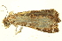  ( - BIOUG09048-D02)  @12 [ ] CreativeCommons - Attribution (2014) CBG Photography Group Centre for Biodiversity Genomics
