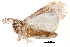  ( - BIOUG10081-G07)  @13 [ ] CreativeCommons - Attribution (2014) CBG Photography Group Centre for Biodiversity Genomics