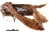  ( - BIOUG14383-D04)  @12 [ ] CreativeCommons - Attribution (2014) CBG Photography Group Centre for Biodiversity Genomics