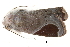  ( - BIOUG14383-D11)  @13 [ ] CreativeCommons - Attribution (2014) CBG Photography Group Centre for Biodiversity Genomics