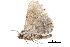  ( - BIOUG14383-G01)  @12 [ ] CreativeCommons - Attribution (2014) CBG Photography Group Centre for Biodiversity Genomics
