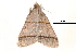  ( - BIOUG14383-H02)  @12 [ ] CreativeCommons - Attribution (2014) CBG Photography Group Centre for Biodiversity Genomics