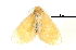  ( - BIOUG13431-D04)  @13 [ ] CreativeCommons - Attribution (2014) CBG Photography Group Centre for Biodiversity Genomics