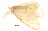  ( - BIOUG13431-F10)  @12 [ ] CreativeCommons - Attribution (2014) CBG Photography Group Centre for Biodiversity Genomics
