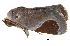  ( - BIOUG13431-G02)  @14 [ ] CreativeCommons - Attribution (2014) CBG Photography Group Centre for Biodiversity Genomics