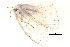  (Arctornis perfecta - BIOUG14394-E02)  @12 [ ] CreativeCommons - Attribution (2014) CBG Photography Group Centre for Biodiversity Genomics