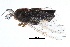  ( - BIOUG14394-E07)  @12 [ ] CreativeCommons - Attribution (2014) CBG Photography Group Centre for Biodiversity Genomics