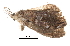  ( - BIOUG13574-E09)  @12 [ ] CreativeCommons - Attribution (2014) CBG Photography Group Centre for Biodiversity Genomics