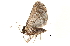  ( - BIOUG13574-F12)  @13 [ ] CreativeCommons - Attribution (2014) CBG Photography Group Centre for Biodiversity Genomics