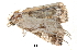  ( - BIOUG13574-H02)  @13 [ ] CreativeCommons - Attribution (2014) CBG Photography Group Centre for Biodiversity Genomics