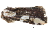  ( - BIOUG13574-H03)  @12 [ ] CreativeCommons - Attribution (2014) CBG Photography Group Centre for Biodiversity Genomics
