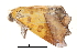  ( - BIOUG14394-C03)  @13 [ ] CreativeCommons - Attribution (2014) CBG Photography Group Centre for Biodiversity Genomics