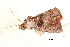  ( - BIOUG20781-G11)  @12 [ ] CreativeCommons - Attribution (2015) CBG Photography Group Centre for Biodiversity Genomics