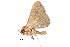  ( - BIOUG20781-H06)  @13 [ ] CreativeCommons - Attribution (2015) CBG Photography Group Centre for Biodiversity Genomics