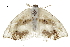  ( - BIOUG31631-A09)  @11 [ ] CreativeCommons - Attribution (2018) CBG Photography Group Centre for Biodiversity Genomics