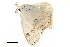  ( - BIOUG31631-B03)  @11 [ ] CreativeCommons - Attribution (2018) CBG Photography Group Centre for Biodiversity Genomics