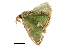  ( - BIOUG31631-D01)  @11 [ ] CreativeCommons - Attribution (2018) CBG Photography Group Centre for Biodiversity Genomics