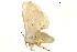  ( - BIOUG31631-E05)  @11 [ ] CreativeCommons - Attribution (2018) CBG Photography Group Centre for Biodiversity Genomics