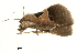  ( - BIOUG31631-E12)  @11 [ ] CreativeCommons - Attribution (2018) CBG Photography Group Centre for Biodiversity Genomics