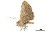  ( - BIOUG31631-H02)  @11 [ ] CreativeCommons - Attribution (2018) CBG Photography Group Centre for Biodiversity Genomics