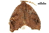  ( - BIOUG31791-B08)  @13 [ ] CreativeCommons - Attribution (2018) CBG Photography Group Centre for Biodiversity Genomics