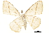  ( - BIOUG31791-D03)  @13 [ ] CreativeCommons - Attribution (2018) CBG Photography Group Centre for Biodiversity Genomics
