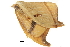  ( - BIOUG31791-F04)  @11 [ ] CreativeCommons - Attribution (2018) CBG Photography Group Centre for Biodiversity Genomics