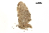  ( - BIOUG31791-H06)  @11 [ ] CreativeCommons - Attribution (2018) CBG Photography Group Centre for Biodiversity Genomics