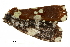  ( - BIOUG31791-H09)  @11 [ ] CreativeCommons - Attribution (2018) CBG Photography Group Centre for Biodiversity Genomics