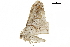  ( - BIOUG31846-E07)  @11 [ ] CreativeCommons - Attribution (2018) CBG Photography Group Centre for Biodiversity Genomics